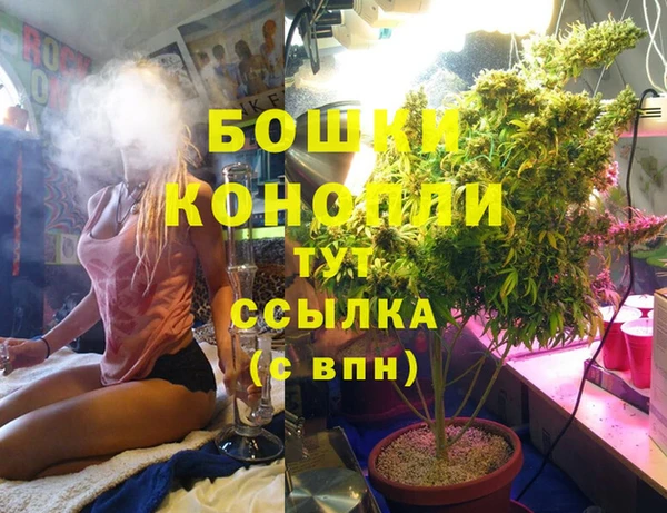 тгк Михайловск