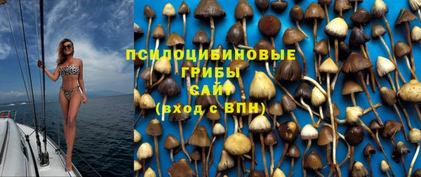 тгк Михайловск