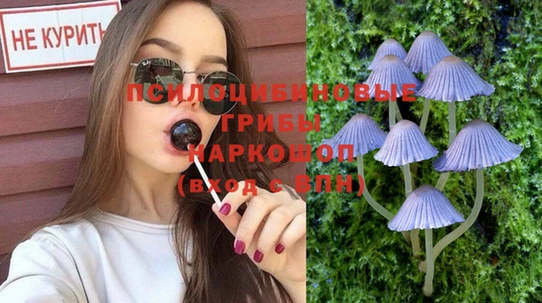 тгк Михайловск