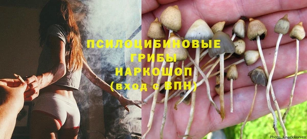 ПСИЛОЦИБИНОВЫЕ ГРИБЫ Надым