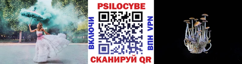 Купить  Улан-Удэ  Галлюциногенные грибы мицелий 